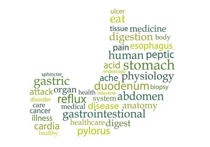 DIAGNOSTIC TESTS USED TO ANALYZE GASTROINTESTINAL DISORDERS