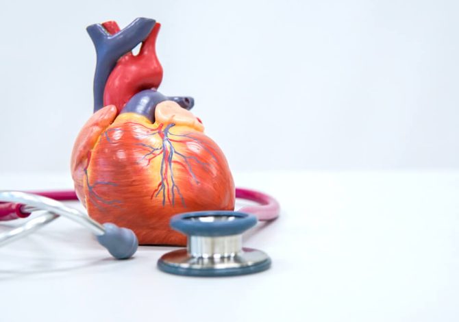 THE CAUSES AND SYMPTOMS OF LEFT VENTRICULAR HYPERTROPHY