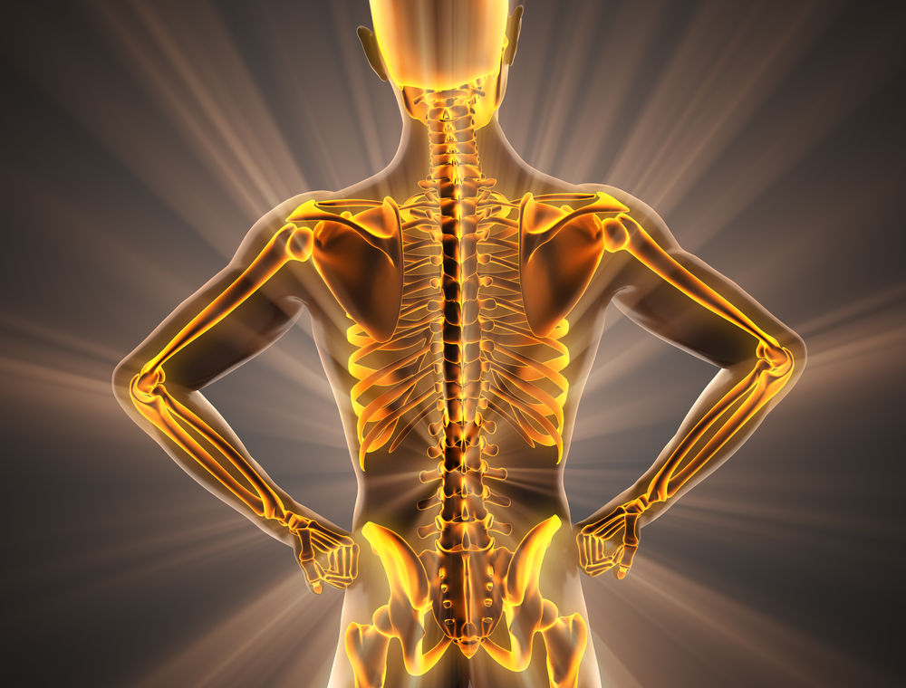 strong bones, bone health